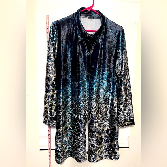 Blue Print Stretch Velvet Tunic - Picture 1 of 2
